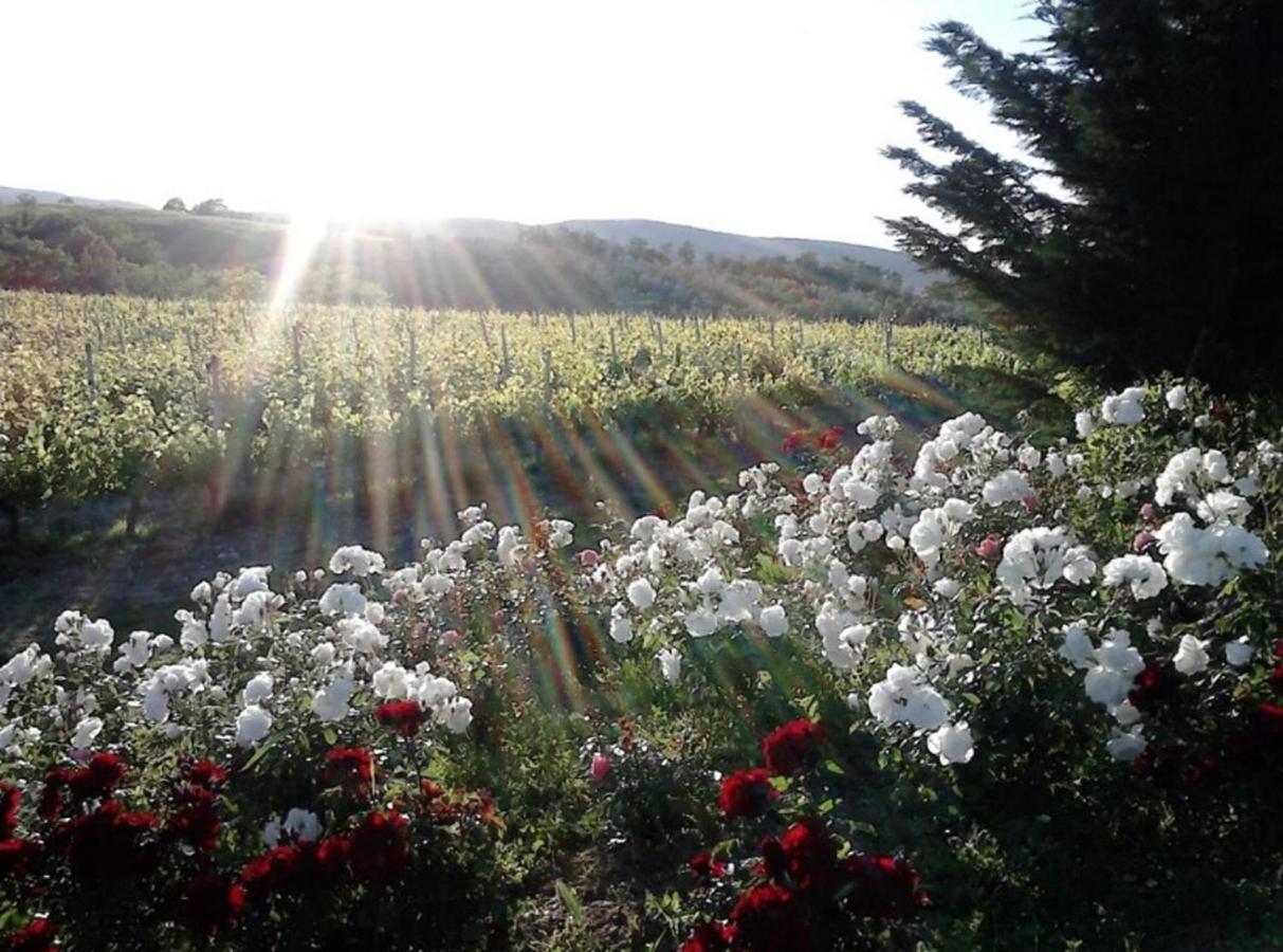 Agriturismo Fattoria Il Piano - Casa Tosca - סן ג'ימיניאנו מראה חיצוני תמונה