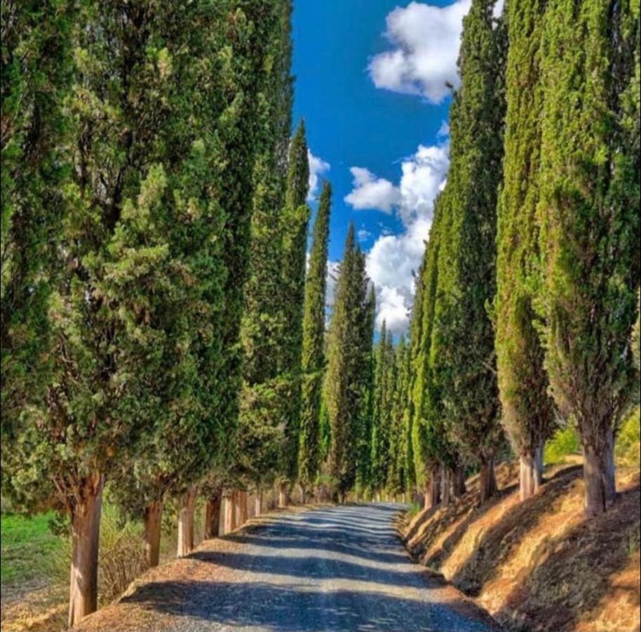 Agriturismo Fattoria Il Piano - Casa Tosca - סן ג'ימיניאנו מראה חיצוני תמונה